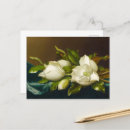 Recherche de velours cartes postales Martin johnson heade