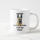 Recherche de malinois belges tasses Dog