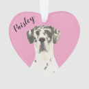 Recherche de belle mère ornements Noël