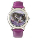 Recherche de chaton montres Chats