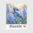 Recherche de jay autocollants Nature