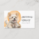 Recherche de cultures cartes visite Dog