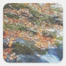Recherche de ruisseau autocollants Paysage