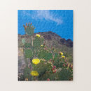 Recherche de cactus saguaro puzzles États unis
