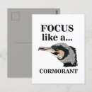 Recherche de cormoran cartes postales Nature