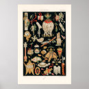 Recherche de china posters Retro