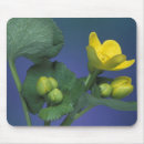 Recherche de marais tapis souris Jaune