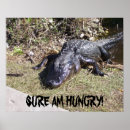 Recherche de alligator posters Vitrage
