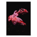 Recherche de oiseau abstrait posters Faune