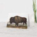 Recherche de peinture de bison vœux cartes Buffle