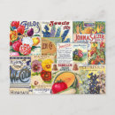 Recherche de paquet de cartes postales Vintage