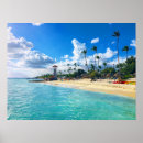 Recherche de palmtrees posters Tropical