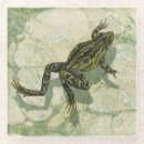 Recherche de crapaud dessous de verres Grenouille