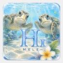 Recherche de honu autocollants Pour tous