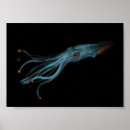 Recherche de bioluminescent art Océan