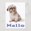 Recherche de shihtzu vœux cartes Shitzu