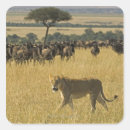 Recherche de motion autocollants En mouvement