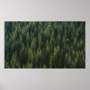 Recherche de forêt photographie Mignon
