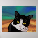 Recherche de tuxedo posters Chaton
