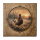 Recherche de faisan carreaux Chasse