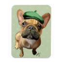 Recherche de taureaux magnets Bulldog