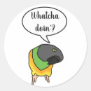 Recherche de senegal autocollants Oiseau