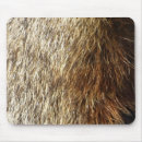 Recherche de marmottes tapis souris Nature