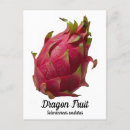 Recherche de fruit exotique cartes postales Vert