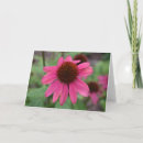 Recherche de horticulture vœux cartes Floral