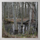 Recherche de inondation posters Inondée