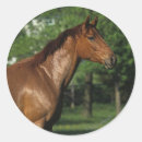Recherche de thoroughbred autocollants Fleurs