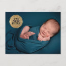 Recherche de bébé phoque Toute personne