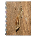 Recherche de tronc de carnets Animal