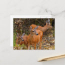 Recherche de superbe cartes postales Photographie de la nature