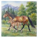 Recherche de poulain carreaux Poney