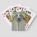 Recherche de regard jeux de cartes Chien