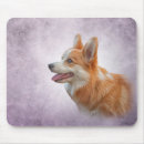 Recherche de chien corgi tapis souris Race