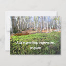 Recherche de mousses cartes postales Moisissure
