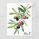 Recherche de olives cartes postales Fruit