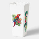 Recherche de perroquet ballotins Macaw