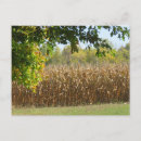 Recherche de champs cartes postales Automne