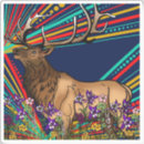 Recherche de wapiti autocollants Faune