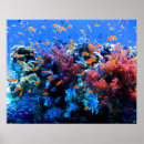 Recherche de underwater posters Coral