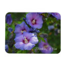 Recherche de flower rectangulaires magnets Botanique
