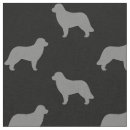 Recherche de leonberg Dog