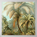 Recherche de vieux art Imprimer