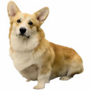 Recherche de chiot photo sculptures Corgi