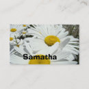 Recherche de marguerite blanche cartes visite De