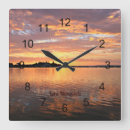 Recherche de l australie horloges Nature