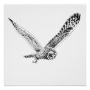 Recherche de illustration hibou posters Animaux